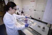 Senators from Both Parties Push Back on Reported Plan for Political Appointees to Approve NIH Grants