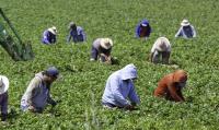 America’s Labor Shortage Is Bigger Than the Local Hiring Pool | Opinion