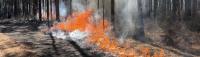 What is helping some Florida wildfires burn hotter, spread faster?