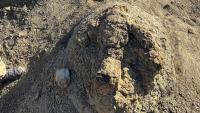 A teacher spotted two unusually large footprints. They turned out to be a first for science