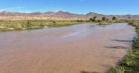 Which Western rivers are most resilient to climate change? New research offers clues
