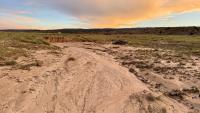 Colorado River stewardship begins in often dry tributaries like Little Badger Wash