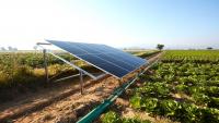 Maryland county weighs 21 solar projects on 651 acres of farmland, says bonds protect taxpayers