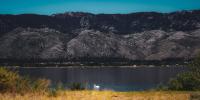 Nevada hosting inaugural Bird Fest this October