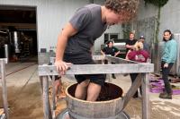 First-year wine students stomp their way into harvest season