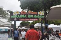Public consultation underway for future of Punanga Nui Market
