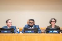 President Ali calls for multi-sectoral approach to pandemic preparedness at UNGA dialogue