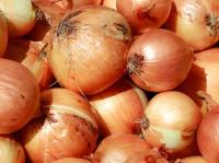 Namibia's onion glut clashes with four-month shortage