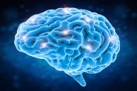 Rutgers and Weill Cornell Medicine Win $3 Million to Study HIV’s Toll on the Brain