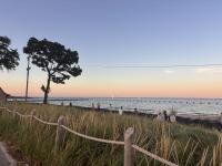 From the Editor’s Desk: Current Climate Resilience Should Motivate Conservation 