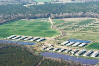 Manure digesters worsen ammonia air emissions from hog farms, study finds