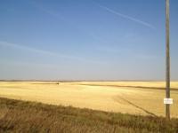 Agriculture Minister David Marit optimistic harvest will pick up