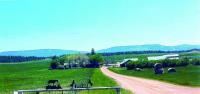 A century on the ranch: Pzinski-Krell Ranch honored for century of family agriculture