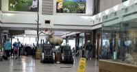 Wyoming Airports generate $3.5 Billion in annual economic impact