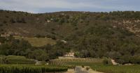 Sonoma's Gundlach Bundschu Winery, one of California’s oldest, files for Chapter 11 bankruptcy