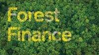 Guyana renews commitment to closing global forest finance gap