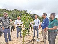 “Bamboo is fast-growing” – Bharrat touts more use for Guyana’s old mining lands