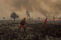 Report Warns Heat May Kill 451,000 People in First 9 Months of Super El Niño