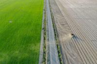 Digital platforms boost agri incomes in Xinjiang