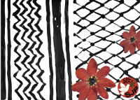 Letter to the Editor: Cal Poly’s pattern of complicity: exploring recent instances of Palestinian and Southwest Asia and North African discrimination