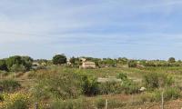 Brit whose naked body was found near an off-grid community in Italy is named: Police 'rule out suicide' as they probe 'ritual gone wrong'