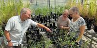 KU fungi library is cornerstone of $1.9M grant researching crop drought tolerance 