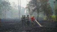 ‘Super El Niño’ projected to cause 15,800 additional heat deaths in India, says report