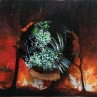 Diane Burko’s ‘Extraction’ Brings Climate Change to Life