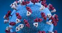 Measles cases identified in Northeast Indiana