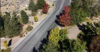 Climate and water combine to shape the hues of fall leaves