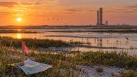 Judge Declines to Block SpaceX Wildlife-Refuge Land Swap in South Texas