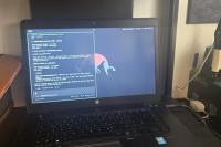 Employee saves 12 'perfectly working' HP laptops after boss says they want to trash them