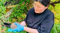 From South Korea to Farnham's wildlife champion