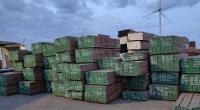 Dutch authorities seize 375 tons of illegally sourced tropical wood