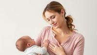 Swedish Birth Cohort Turns Its Lens on Mothers to Trace Breast Cancer’s Environmental Roots