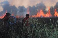 Indonesia battles worst wildfires in 11 years 
