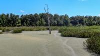 Florida drought now grips 15.5 million, putting wildfire and drinking water at risk