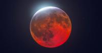 Astrophotographer Andrew McCarthy Captured the Blood Moon Eclipse From a Hotel Parking Lot in Florida