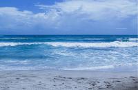 The BBNJ Agreement: From Paper to Protection – The Real Test for Global Ocean Governance