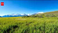 Colorado Grasslands