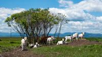 UVM and USDA expand agricultural research at Nordic Farm