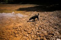 Explainer-What is a 'super El Niño' and how will it affect the weather?