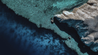 Inhabit Hotels Brings the Oceanic Global Short Film Festival to London