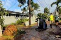 Insurance has role in pricing climate resilience, report says