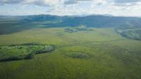 What would it take to turn Rugezi Wetland into Rwanda’s fifth national park?