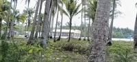 Company seeks to evict Sebaring IP residents