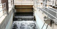 Election year "poop water" claims lead wealthy suburb to drop recycling plan