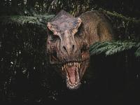 Scientists confirm the T. rex was a warm-blooded reptile by measuring its body temperature