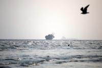 Cargo ship catches fire after being hit by ‘unknown’ projectile in Strait of Hormuz, one killed