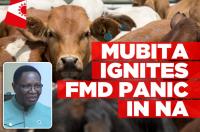 FMD detected in Namibia’s disease-free zone
